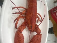 -九龙餐厅(大沽路店)