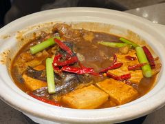 -船歌·鱼水饺青岛菜(金狮广场店)