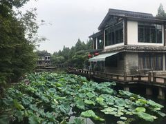 景观位-知味观·味庄(杨公堤店)