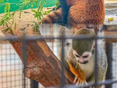 -海合安武汉极地海洋公园