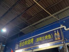-杨合林啊兰烤鱼