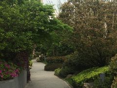 -上海崇明金茂凯悦酒店