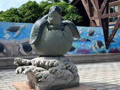 -广东惠东海龟国家级自然保护区