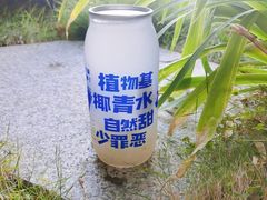 -蔻蔻椰·鲜萃椰子水(COCO Park店)