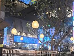 -桂满陇·海市蜃楼·黑金(国金店)