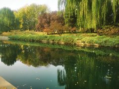 -元大都城垣遗址公园