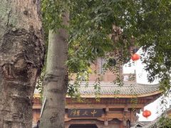 -中天楼