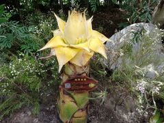 -南通洲际绿博园