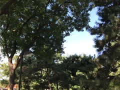 -丰台花园