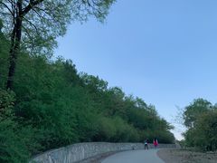 -鬼笑石后山停车场