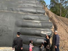 -三水森林公园