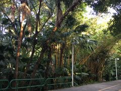 -中山公园(石岐街道)