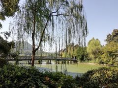 -苏堤停车场