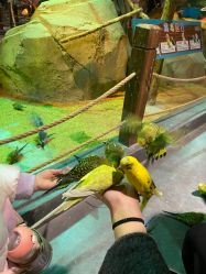 -酷嗒动物文化乐园(cutezoo西溪乐天城店)