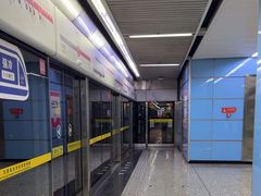 -大龙山(地铁站)