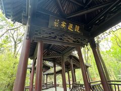 -上海佘山国家森林公园天马山园