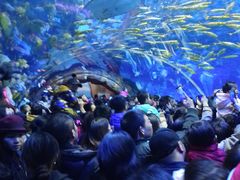 -华夏文旅海洋公园