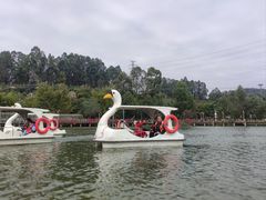 -观澜山水田园