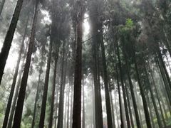 -娄山关景区