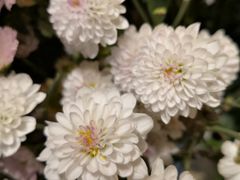 -春暖花开(西溪店)