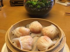 -广州富力君悦大酒店空中花园