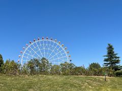 -石家庄市植物园