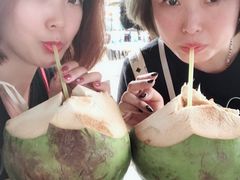 -东姑阿都拉曼海洋公园