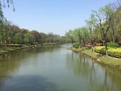 -上海鲜花港