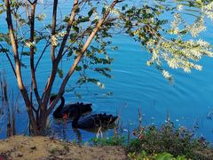 -广州白江湖森林公园