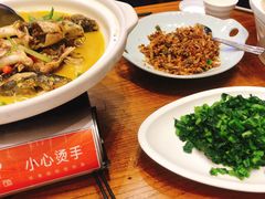 -饭怕鱼(阳光100店)