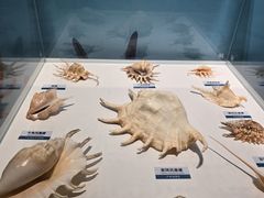 -陕西自然博物馆