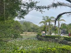 -汕头莲花山度假村温泉