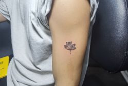 -刺客纹画·纹身·洗纹身.穿孔饰品