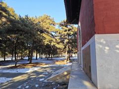-清东陵