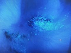 -宠颐生嘉德动物医院