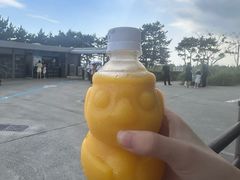 -西归浦每天偶来市场