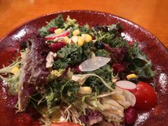 田园时蔬沙拉-布拉格餐厅· 中欧捷克菜(全国首店)