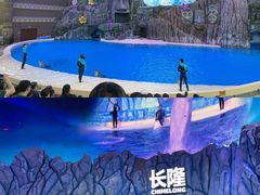 -珠海长隆海洋王国