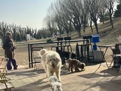 -小意思咖啡店(草桥店)