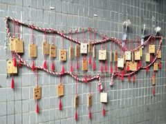 -小洲村