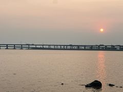 -宝安西湾红树林湿地公园