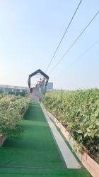 点击看大图 -可可天空农场(东部新城银泰店)