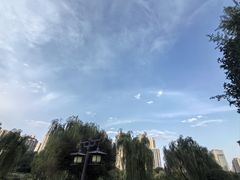 -木塔寺遗址生态公园