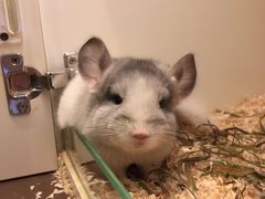 -龙猫仔乐园(惠福东路店)