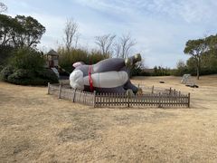 -上海崇明金茂凯悦酒店