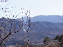 -大觉寺-停车场