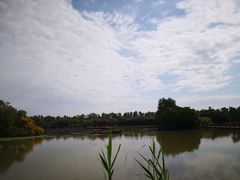-大湾区中央湿地公园
