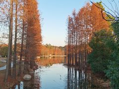 -尚湖风景区