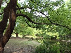 -共青国家森林公园-售票处