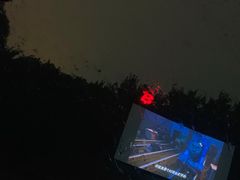 -枫花园汽车电影院(朝阳公园店)